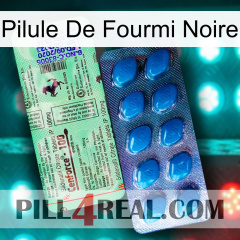 Black Ant Pill new02